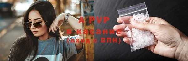 бошки Дмитров