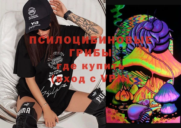 прущая мука Вяземский