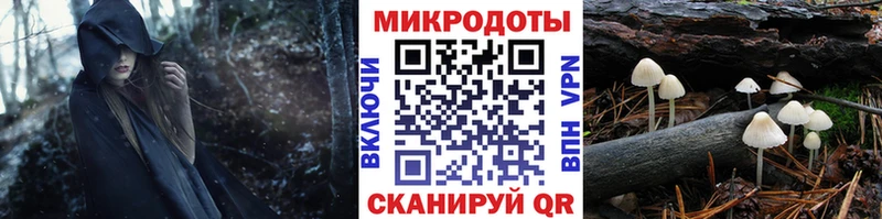 Псилоцибиновые грибы Cubensis  Красный Холм 